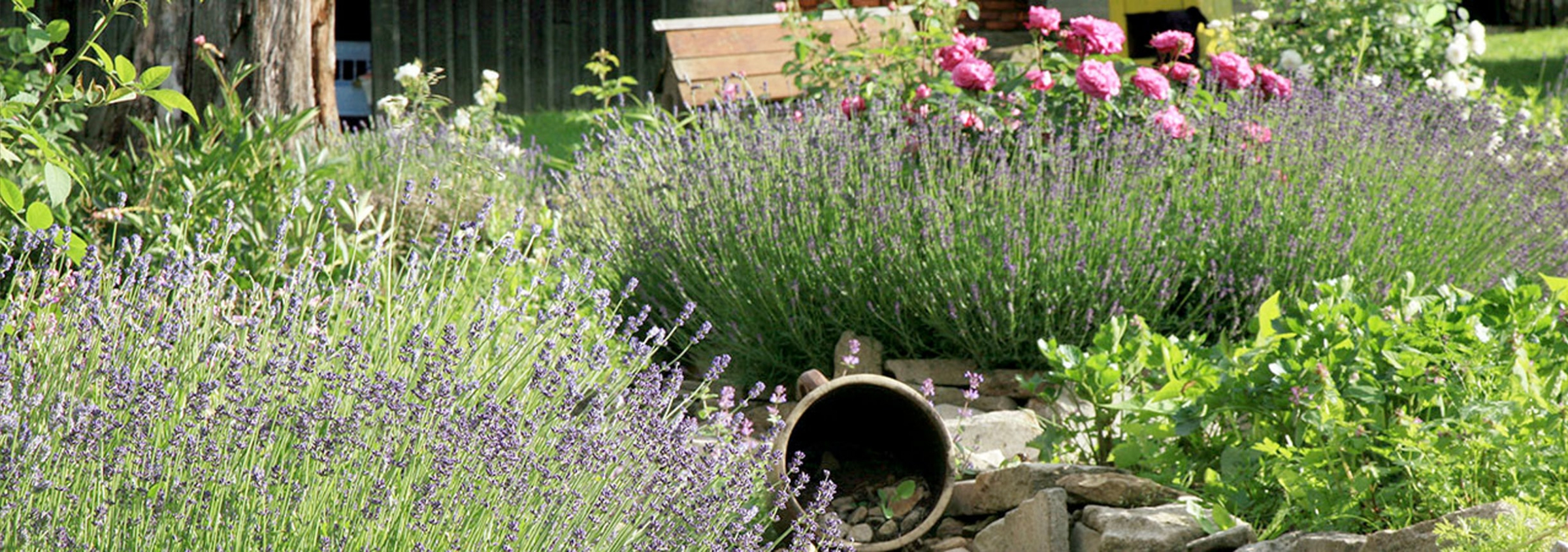 De landelijke tuin