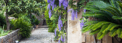 De mediterrane tuin